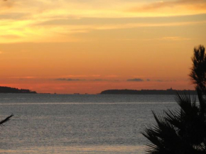  Cannes Terrace Beach Front & Sea view  Канны